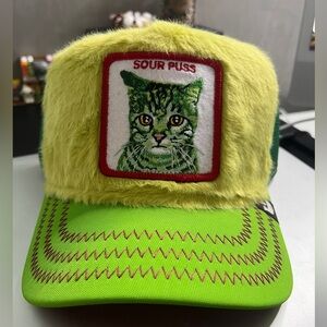 NWT Limited Edition Goorin Bros Animal Farm- Sour Puss O/S